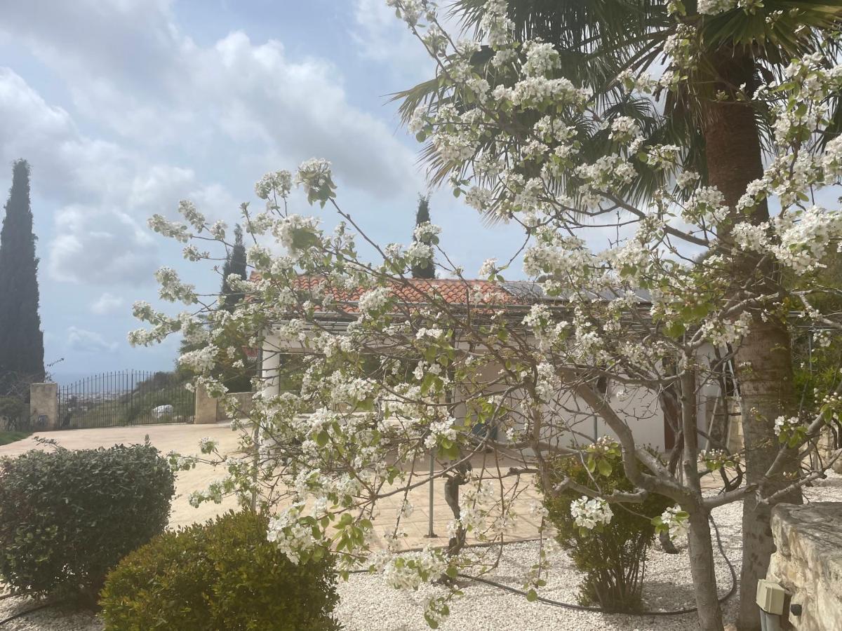 Beautiful Home Paphos Exteriör bild