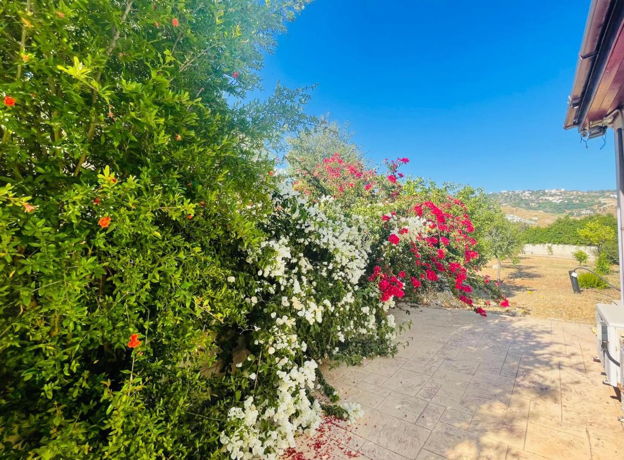 Beautiful Home Paphos Exteriör bild