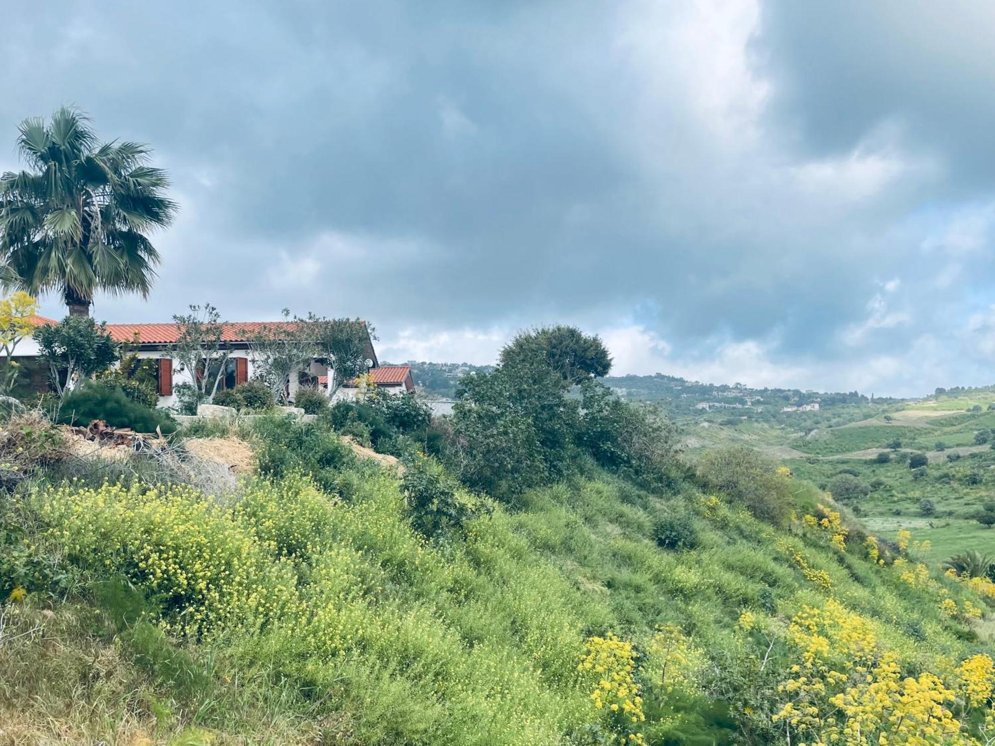 Beautiful Home Paphos Exteriör bild